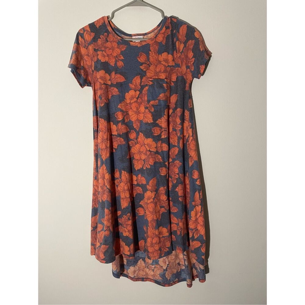 LuLaRoe size XXS Tee Shirt Dress with red flowers